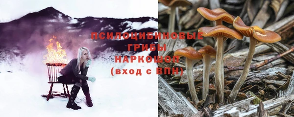 2c-b Медногорск